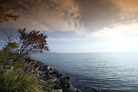 Tree and sunrise by the seaの写真素材