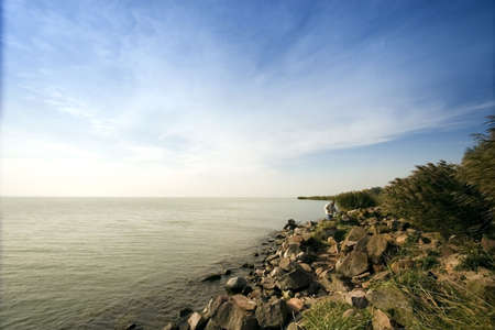 Tree and sunrise by the seaの写真素材