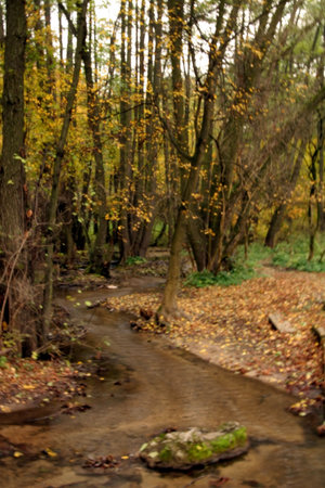  A secluded cascade in the forests of Hungary. Taken with a slow shutter speed to smooth and soften...