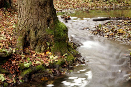  A secluded cascade in the forests of Hungary. Taken with a slow shutter speed to smooth and soften the water. Nice detail in the water can be seen as it tumbles and swirls its way downstream.の写真素材