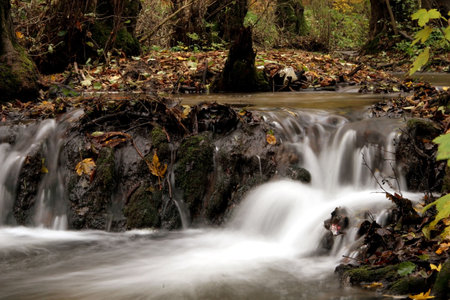  A secluded cascade in the forests of Hungary. Taken with a slow shutter speed to smooth and soften...
