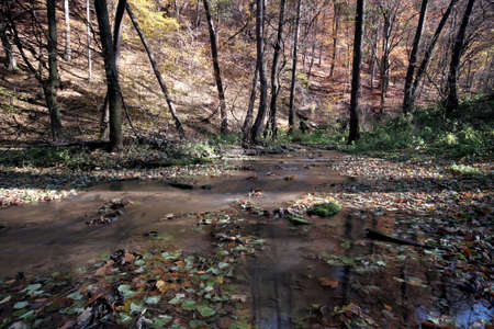 A secluded cascade in the forests of Hungary. Taken with a slow shutter speed to smooth and soften the water. Nice detail in the water can be seen as it tumbles and swirls its way downstream.の写真素材