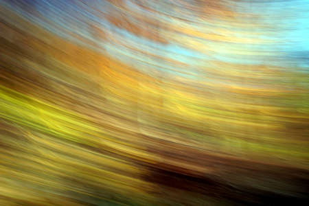 Autumn in the forestの写真素材