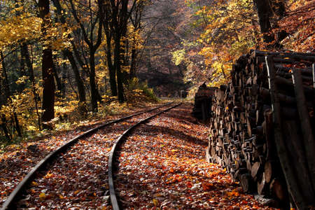 Dinkey line in the mountains on a fall dayの写真素材