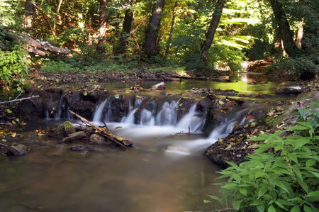 Creek in the forest in Autumn