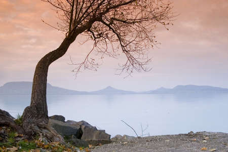 Sunset lake. This phote make in Hungary. Sunset whit Balatonの写真素材