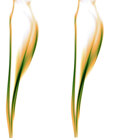 Smokeの写真素材