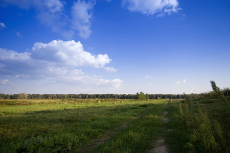  Green field - Landscape green grass, blue sky and white cloudsの写真素材