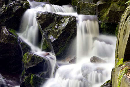 Autumn streamの写真素材