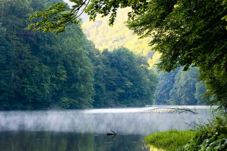 Lake morning in summerの写真素材