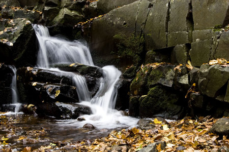 Autumn stream