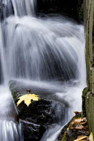 Autumn streamの写真素材