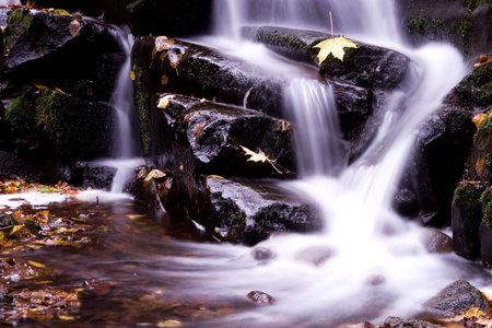 Autumn stream