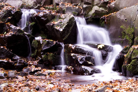 Autumn streamの写真素材