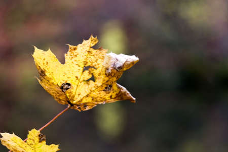 Autumn landscapeの写真素材