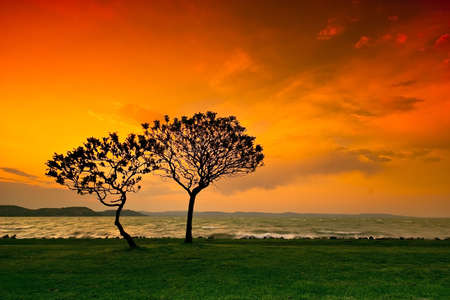 sunsetの写真素材