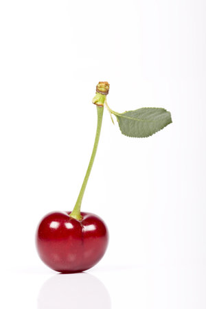 cherries on white background