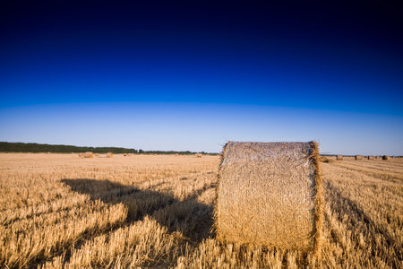  Golden Hay Bales