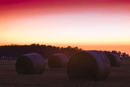 End of day over field with hay baleの写真素材