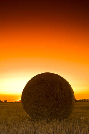 End of day over field with hay baleの写真素材