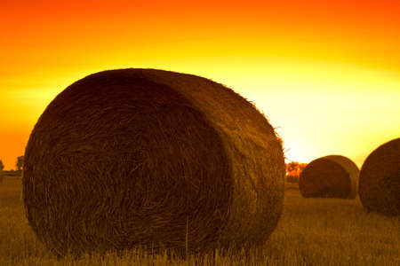 End of day over field with hay baleの写真素材
