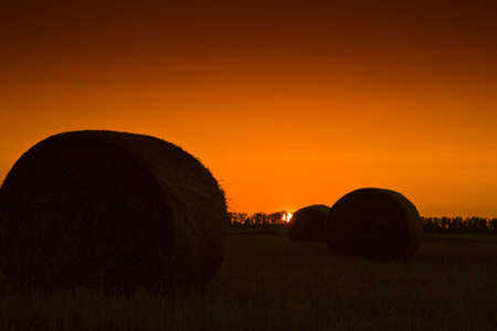 End of day over field with hay baleの写真素材