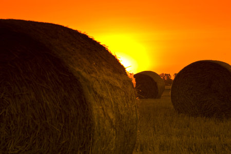 End of day over field with hay bale