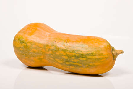 Pumpkinの写真素材