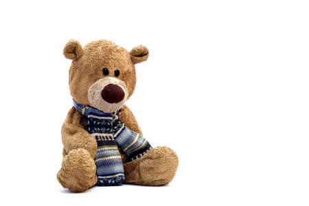 Teddy Bear の写真素材