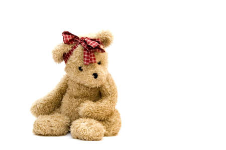 Teddy Bearの写真素材