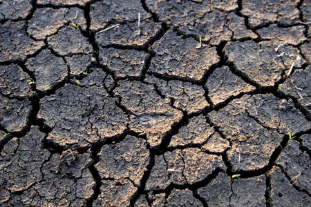 Landscape with cracked landの写真素材