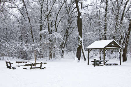resting place winter in the forestの写真素材
