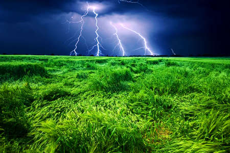 Storm over wheat fieldの写真素材