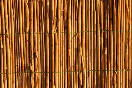 brown wooden textureの写真素材