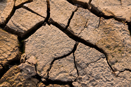 Landscape with cracked land