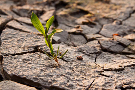 Landscape with cracked landの写真素材