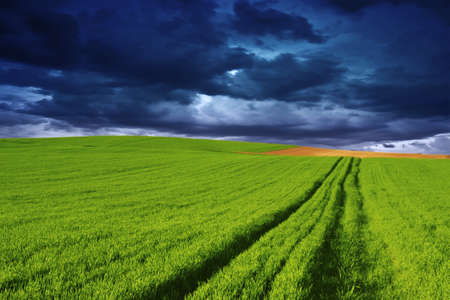 Rural landscape blue skyの写真素材