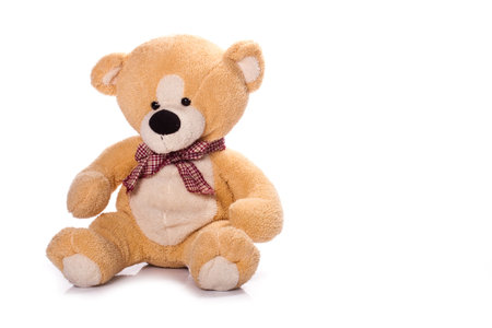 Teddy-bear isolated on a white background