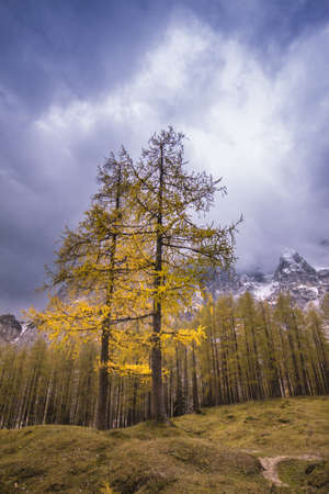 Alps mountains in northern Slovenia の写真素材