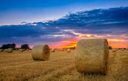 End of day over field with hay bale in Hungary- This photo make HDRの写真素材
