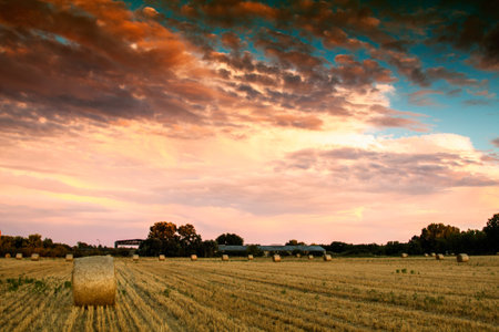 End of day over field with hay bale in Hungaryの写真素材