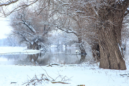 Winter landscape river Zagyva in Hungary