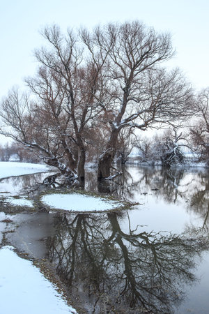 Winter landscape river Zagyva in Hungary