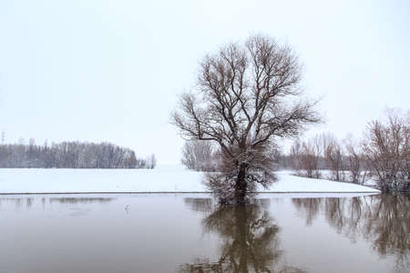 Winter landscape river Zagyva in Hungaryの写真素材