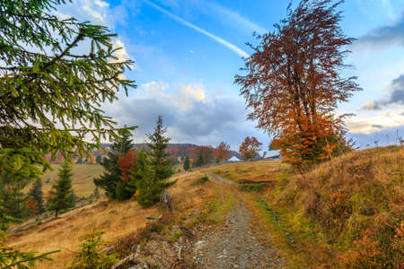 Foggy summer morning in the mountains. Carpathian, Romaniaの写真素材