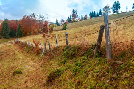Foggy summer morning in the mountains. Carpathian, Romaniaの写真素材