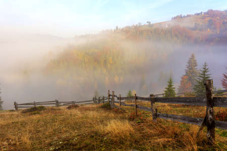 Magical sunrise with tree in Transylvania mountainsの写真素材