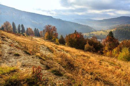 Foggy summer morning in the mountains. Carpathian, Romaniaの写真素材