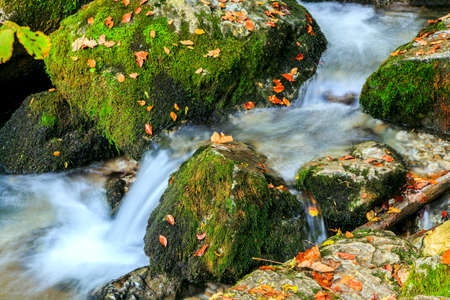 Creek deep in mountain forest in Transylvania,Romaniaの写真素材