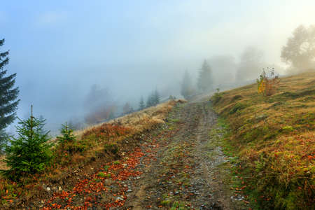 Foggy morning in Transylvania,Romaniaの写真素材